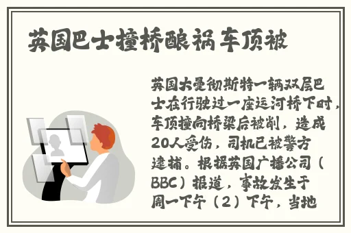 三级黄线播放免费观看